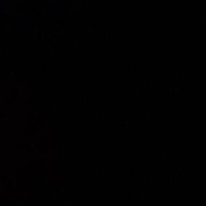 Meet your Posher, Hattie